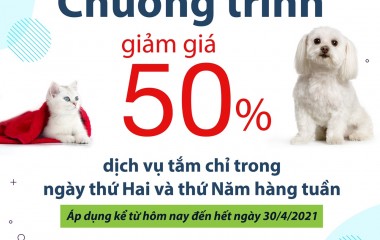 PROMOTION BATHING FOR DOG & CAT  DISCOUNT 50% 