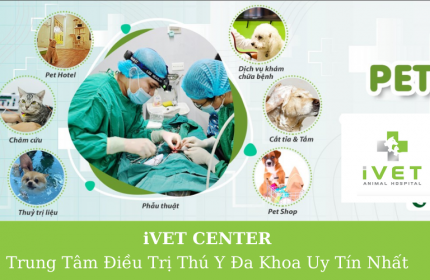 Mách bạn các bệnh viện thú y uy tín ở Hà Nội