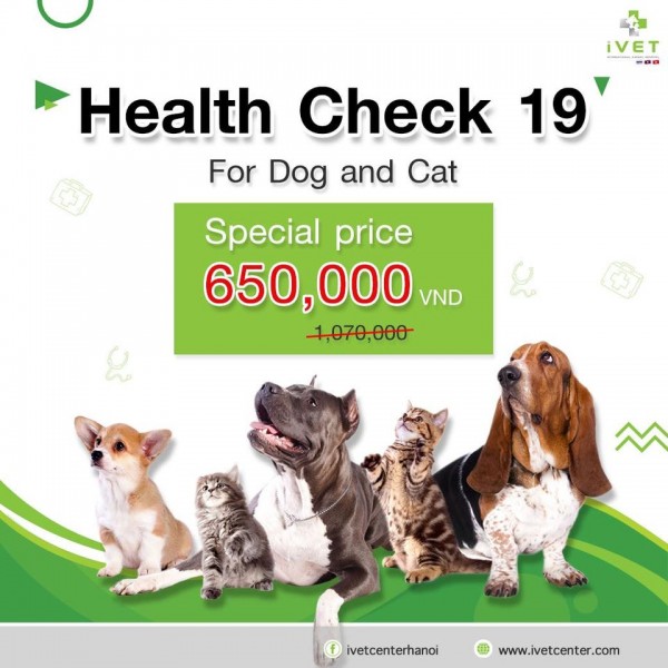 DOG & CAT HEALTH CHECK 19  