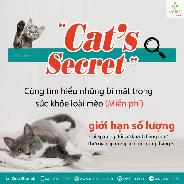 Cat’s Secret”
