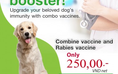 Annually booster Combine vaccine for Dogs and for Cats