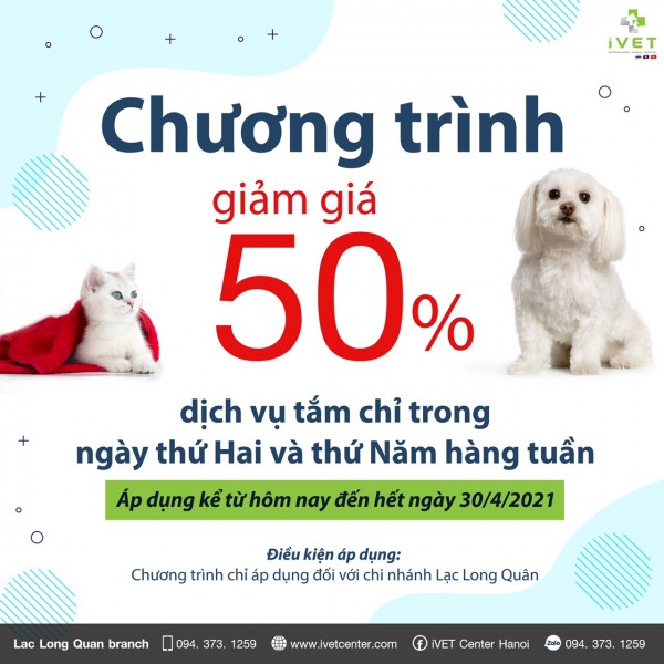 PROMOTION BATHING FOR DOG & CAT  DISCOUNT 50% 