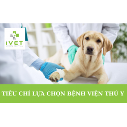 Tiêu chí lựa chọn bệnh viện thú y chuyên nghiệp tại Hà Nội