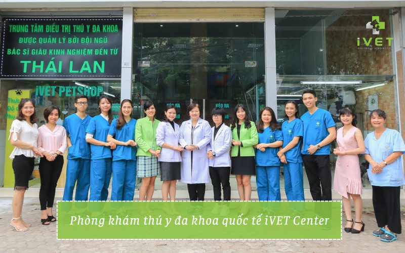  iVET Center - Trung tâm điều trị thú Y Đa khoa Quốc tế