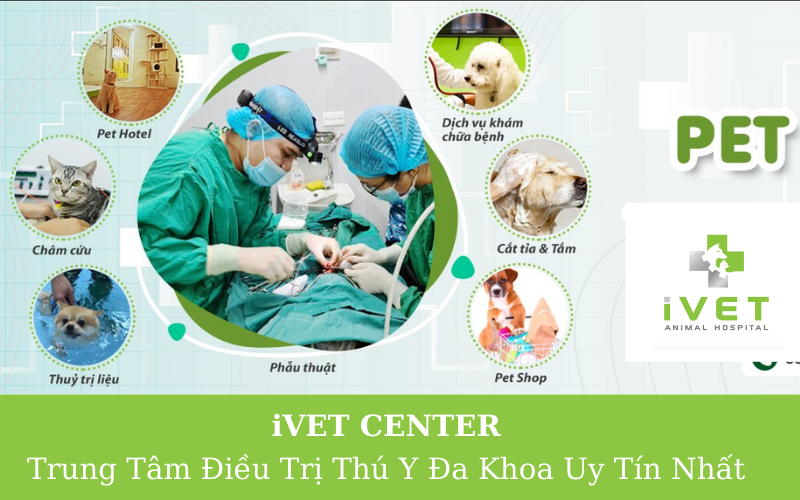 Giới thiệu về trung tâm điều trị thú y đa khoa iVet